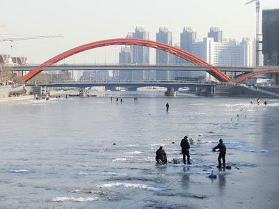 红桥天气预报10天查询，未来十天天气