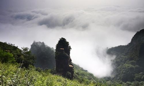 桥西天气预报10天查询，未来十天天气