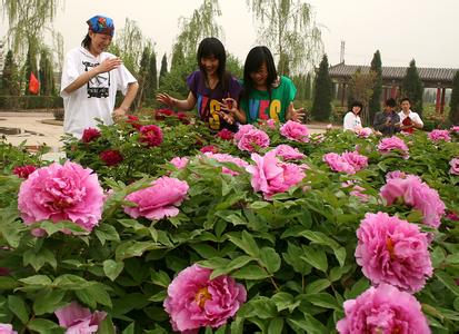 柏乡天气预报10天查询，未来十天天气