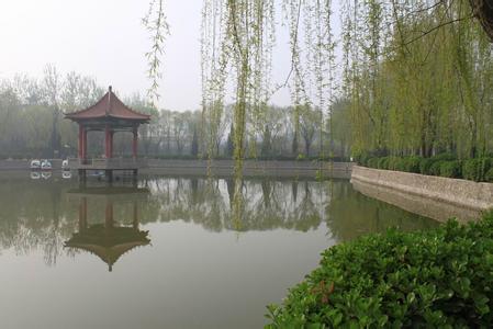 清河天气预报10天查询，未来十天天气