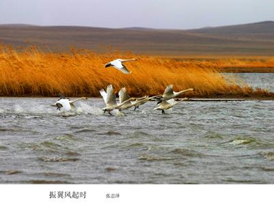 鄂温克族旗天气预报10天查询，未来十天天气