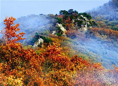 西丰天气预报10天查询，未来十天天气