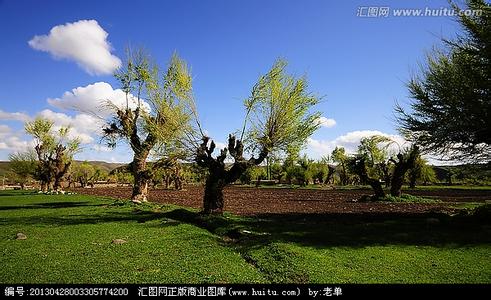 榆树天气预报10天查询，未来十天天气