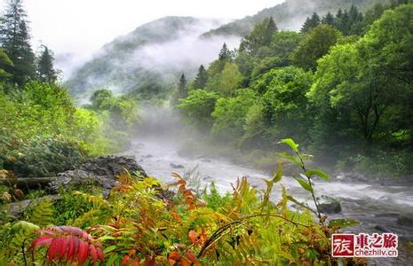 长白天气预报10天查询，未来十天天气