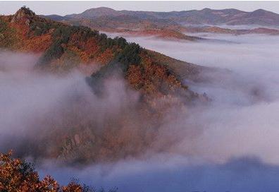 鸡西天气预报10天查询，未来十天天气