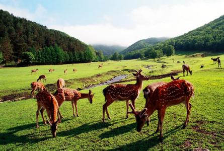 金山屯天气预报10天查询，未来十天天气