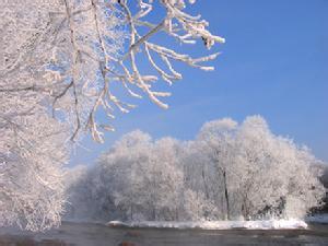 红星天气预报10天查询，未来十天天气