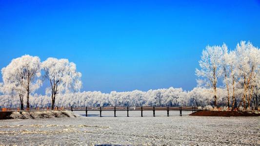 庆安天气预报10天查询，未来十天天气