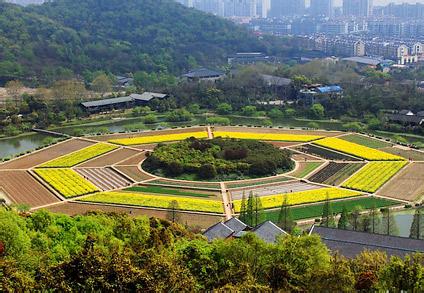 上城天气预报10天查询，未来十天天气