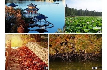 西湖天气预报10天查询，未来十天天气