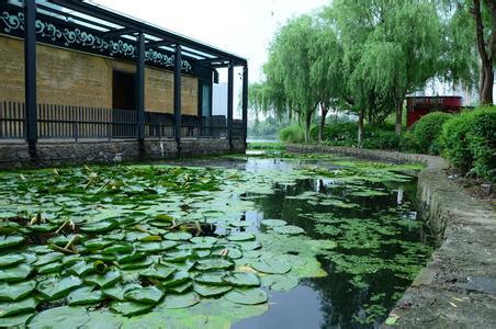 鄞州天气预报10天查询，未来十天天气