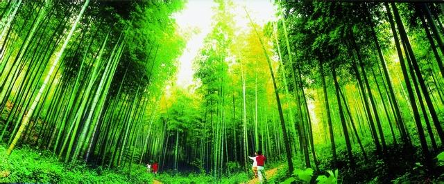 花山天气预报10天查询，未来十天天气