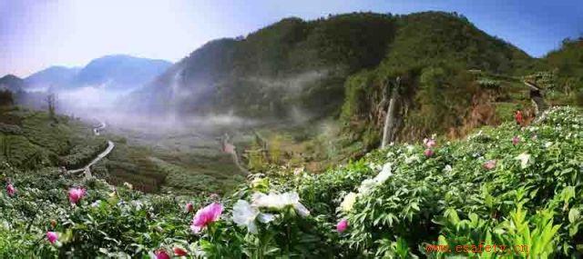 铜陵天气预报10天查询，未来十天天气