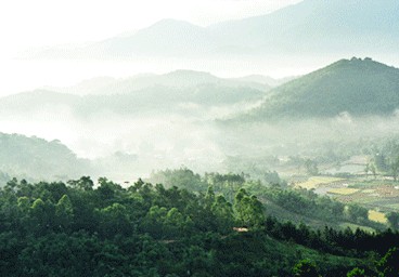 枞阳天气预报10天查询，未来十天天气