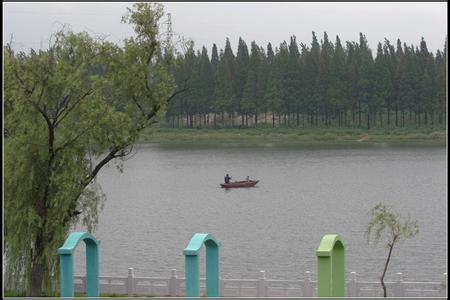 利辛天气预报10天查询，未来十天天气