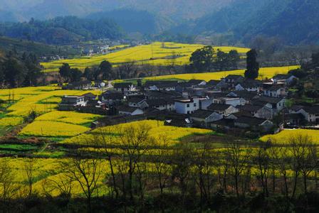 石台天气预报10天查询，未来十天天气