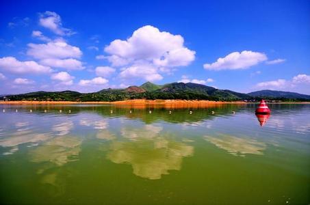 古田天气预报10天查询，未来十天天气