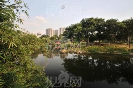 月湖天气预报10天查询，未来十天天气