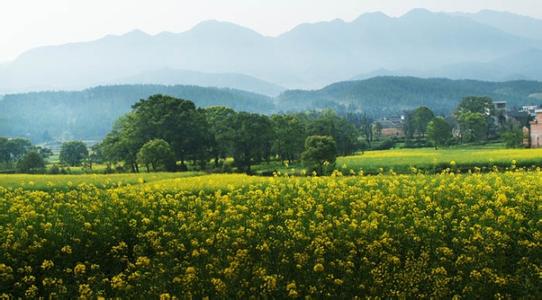 安福天气预报10天查询，未来十天天气