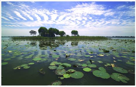 任城天气预报10天查询，未来十天天气