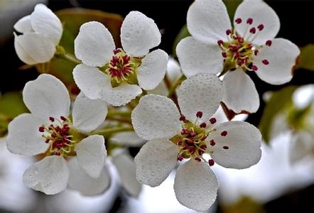 阳信天气预报10天查询，未来十天天气