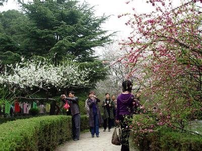 禹王台天气预报10天查询，未来十天天气