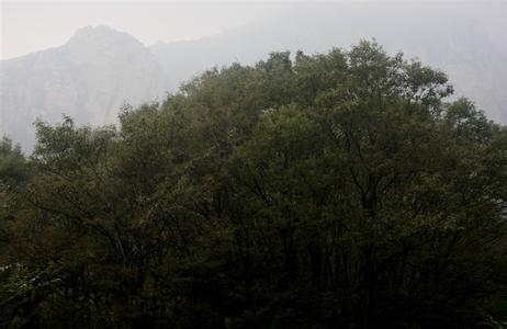 尉氏天气预报10天查询，未来十天天气