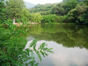 鲁山天气预报10天查询，未来十天天气