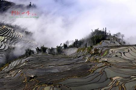 原阳天气预报10天查询，未来十天天气