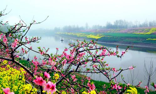 西华天气预报10天查询，未来十天天气