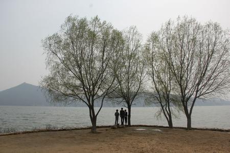 商水天气预报10天查询，未来十天天气