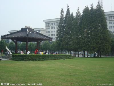 洪山天气预报10天查询，未来十天天气