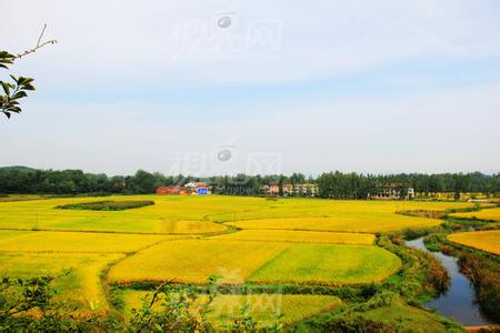 安陆天气预报10天查询，未来十天天气