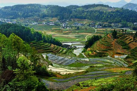 利川天气预报10天查询，未来十天天气