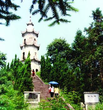 荷塘天气预报10天查询，未来十天天气