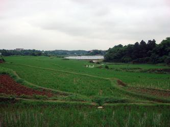 湘潭县天气预报10天查询，未来十天天气