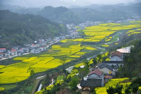 澧县天气预报10天查询，未来十天天气