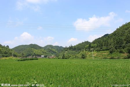 桂东天气预报10天查询，未来十天天气