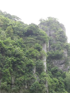 会同天气预报10天查询，未来十天天气