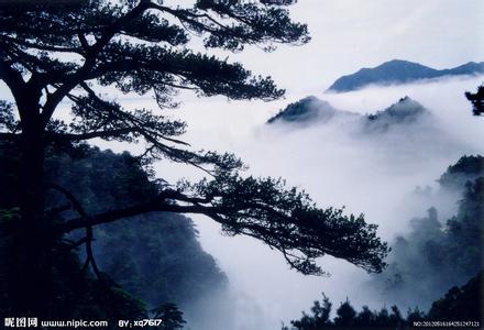 韶关天气预报10天查询，未来十天天气