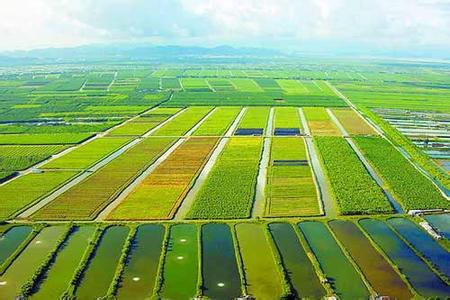 斗门天气预报10天查询，未来十天天气