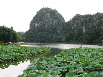 端州天气预报10天查询，未来十天天气