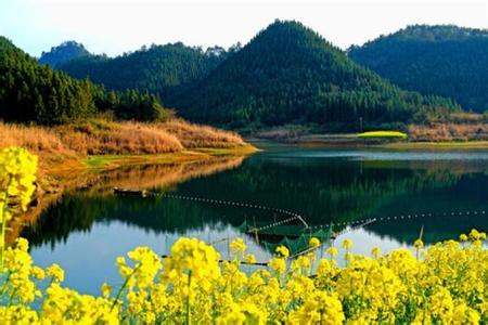 龙川天气预报10天查询