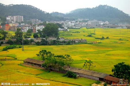 新兴天气预报10天查询，未来十天天气