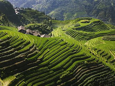 龙胜天气预报10天查询，未来十天天气