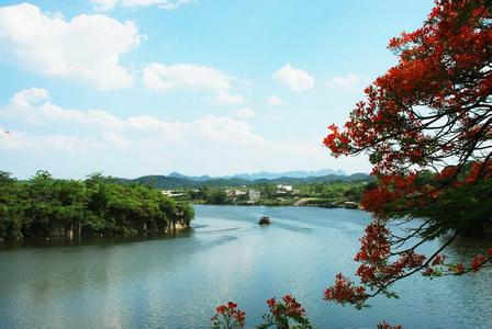 平果天气预报10天查询，未来十天天气