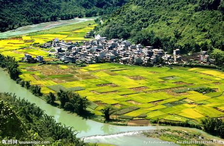 乐业天气预报10天查询，未来十天天气