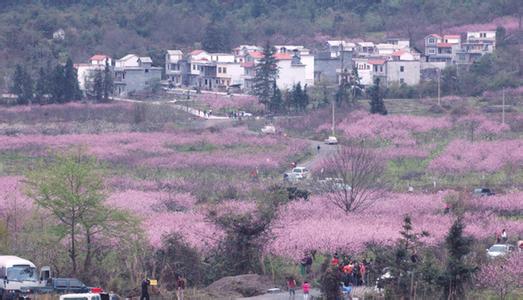 金城江天气预报10天查询，未来十天天气