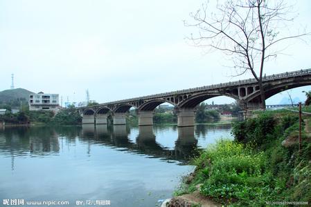 宜州天气预报10天查询，未来十天天气