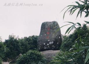 文昌天气预报10天查询，未来十天天气